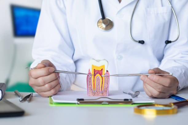 Best Emergency Tooth Extraction in Auburn, NE